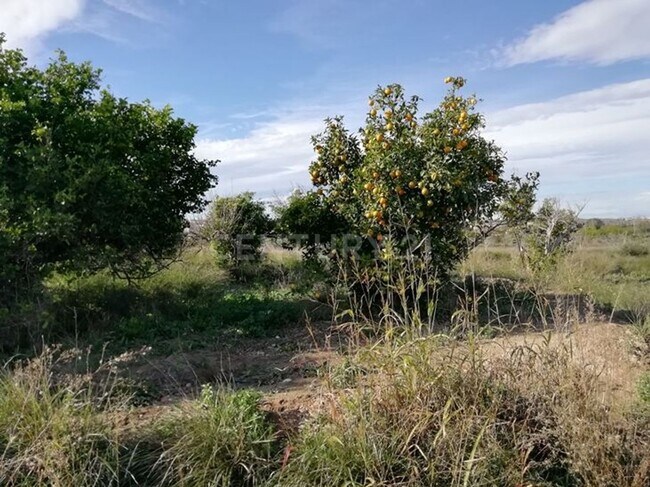 Más detalles de Paraje Huerto Naranjos, S/N, Murcia - Terreno en venta