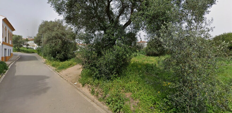 Calle Doctor Miguel Márquez, Calañas, Huelva en venta - Foto principal - Imagen 1 de 3