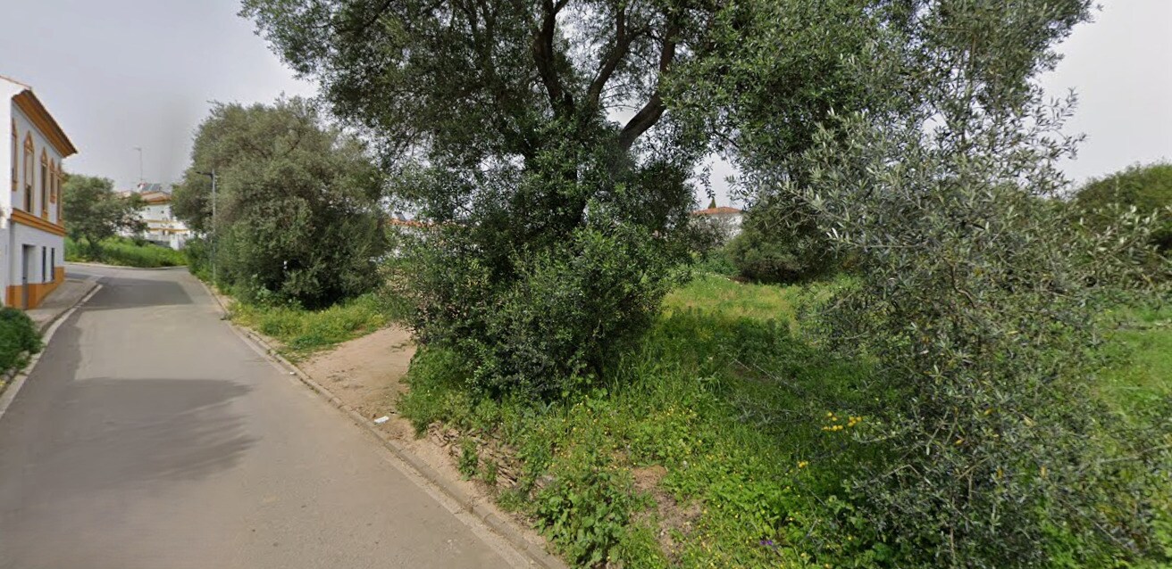 Calle Doctor Miguel Márquez, Calañas, Huelva en venta Foto principal- Imagen 1 de 4