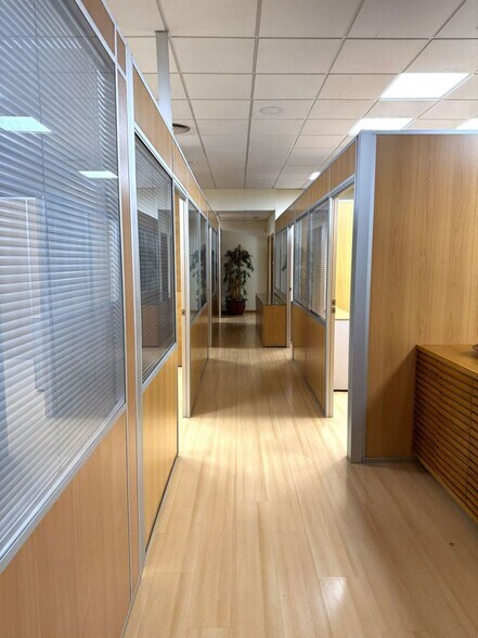 Del Leon Y Castillo, 229, Las Palmas de Gran Canaria, Las Palmas en alquiler - Foto del interior - Imagen 3 de 21