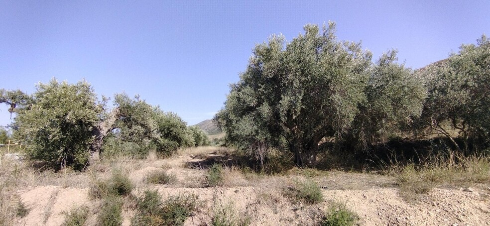 Terreno en Calasparra, Murcia en venta - Plano del sitio - Imagen 2 de 4