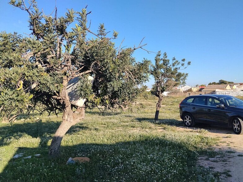 Carretera Alcázares, 80, Torre-Pacheco, Murcia en venta - Foto principal - Imagen 1 de 15