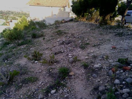 Terreno en Alguazas, Murcia en venta - Plano del sitio - Imagen 3 de 9