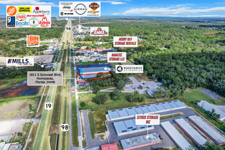 Más detalles para 1811 S Suncoast Blvd, Homosassa, FL - Locales en venta