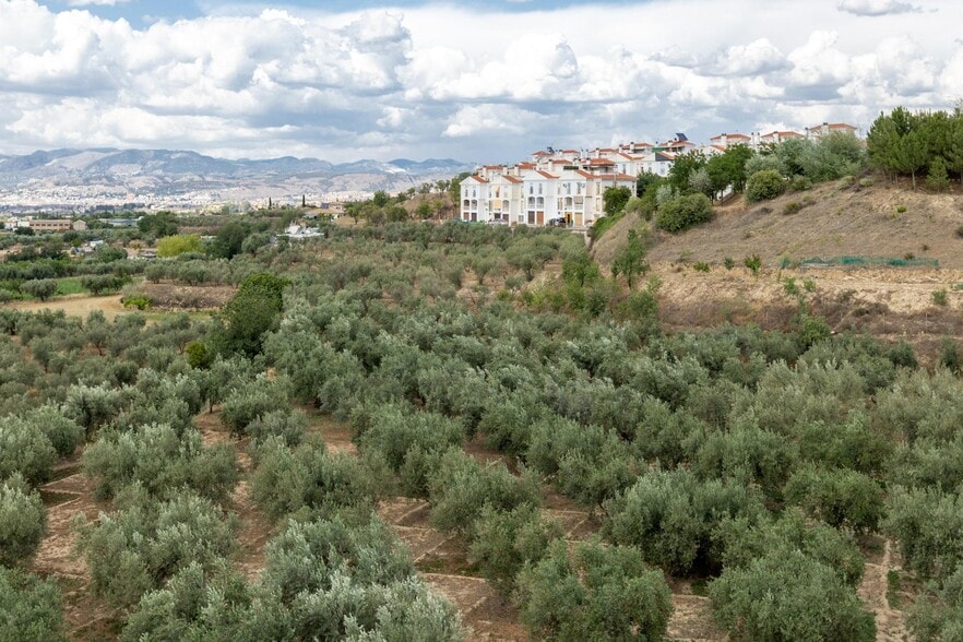 Pol, 1, Granada, Granada en venta - Foto del edificio - Imagen 2 de 21
