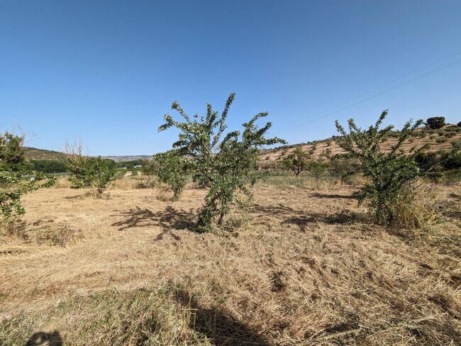 Más detalles de Lugar Extrarradio, Arenas del Rey - Terreno en venta