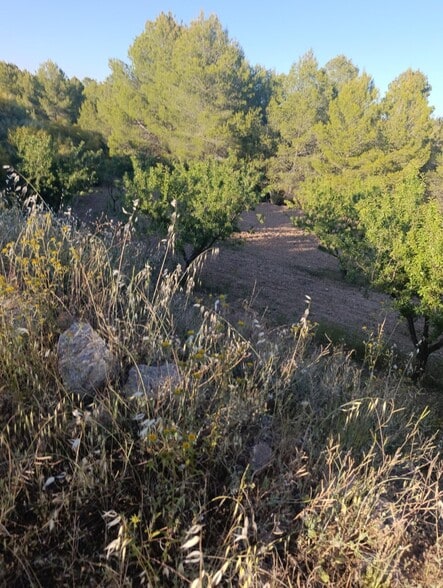 Terreno en Cehegín en venta - Foto del edificio - Imagen 3 de 10