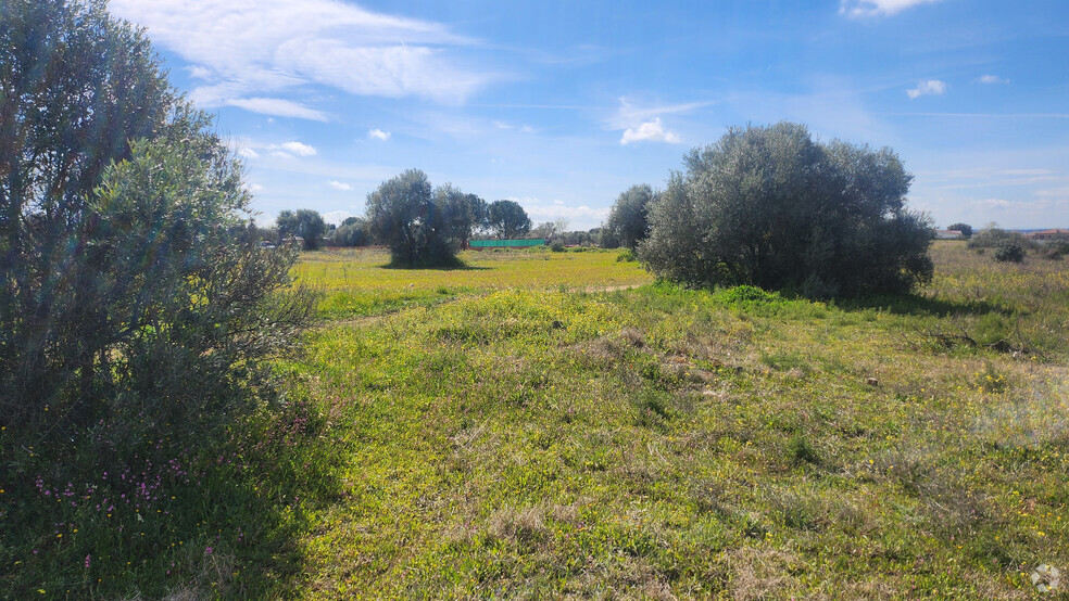 Terrenos en Hormigos, Toledo en venta - Foto del edificio - Imagen 3 de 21