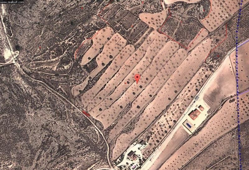 Terreno en Jumilla en venta - Foto del edificio - Imagen 3 de 15