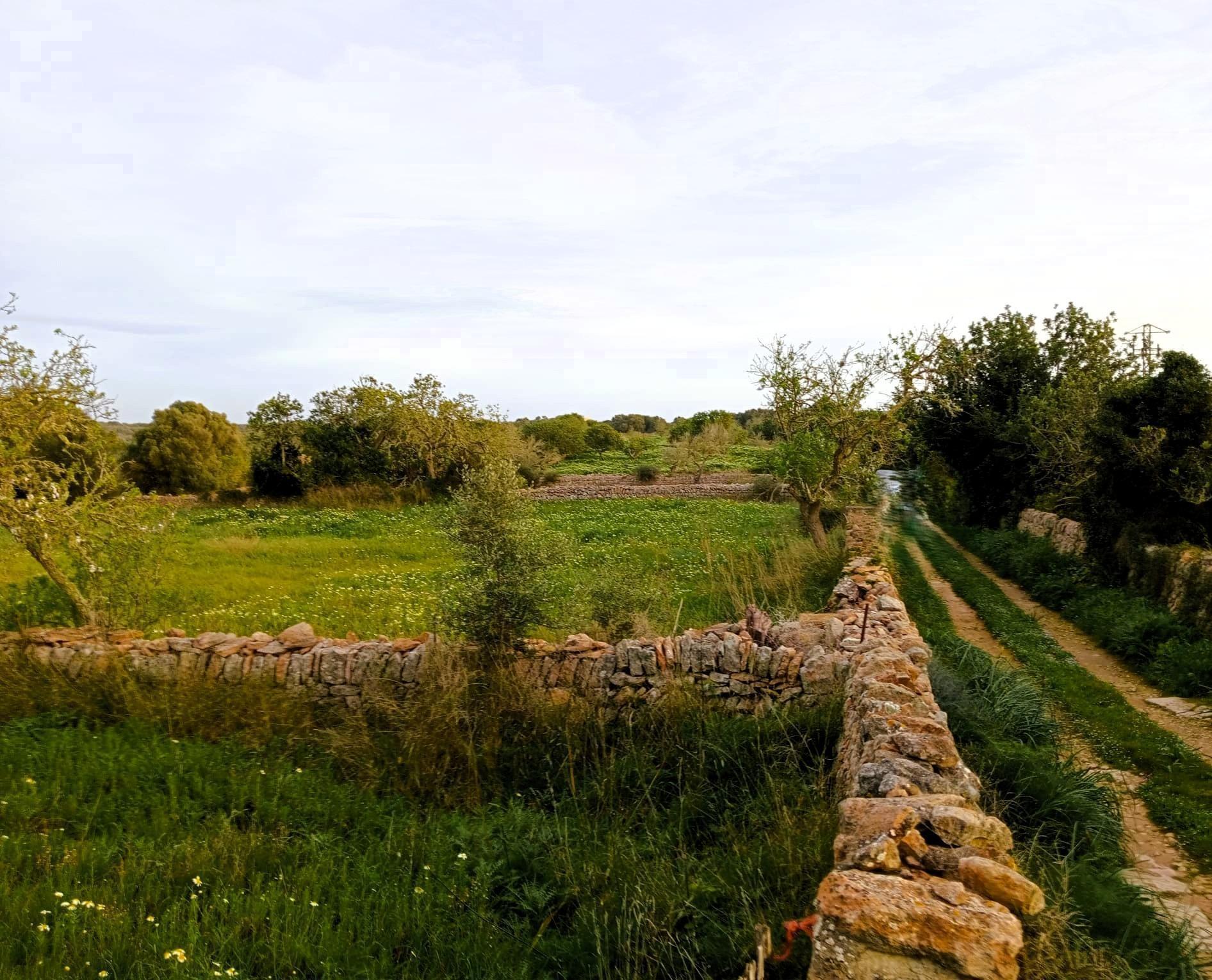Terreno en Santanyí, Islas Baleares en venta Foto principal- Imagen 1 de 14