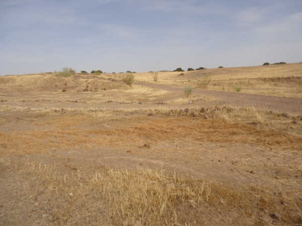 Charnecales, Villagarcía de la Torre, Badajoz en venta - Foto principal - Imagen 3 de 18
