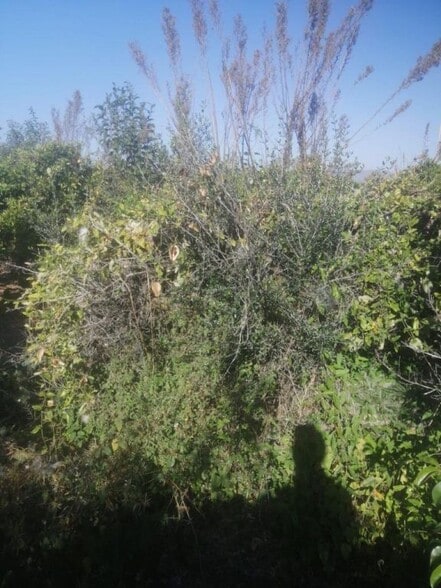 Terreno en Castelló de la Plana en venta - Foto del edificio - Imagen 3 de 3