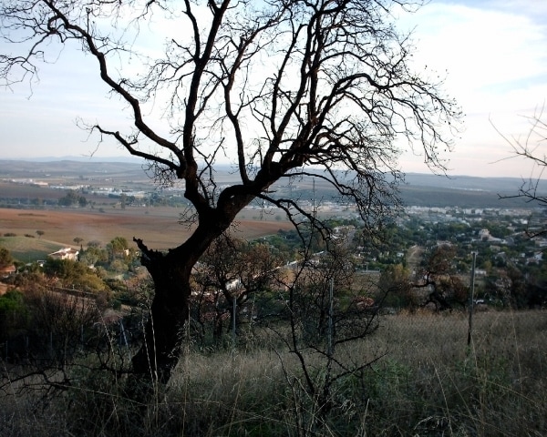 Terreno en Córdoba, Córdoba en venta - Foto principal - Imagen 3 de 3