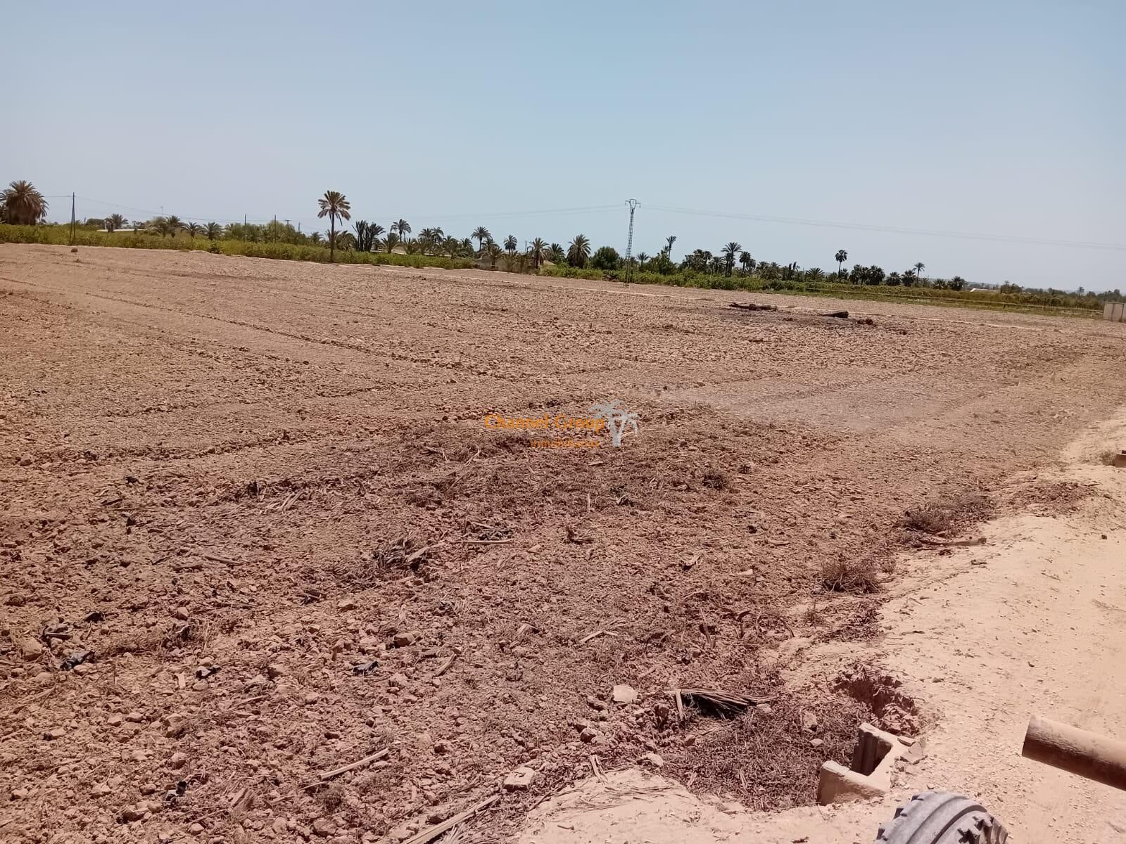 Terreno en Elche, Alicante en venta Foto del edificio- Imagen 1 de 5