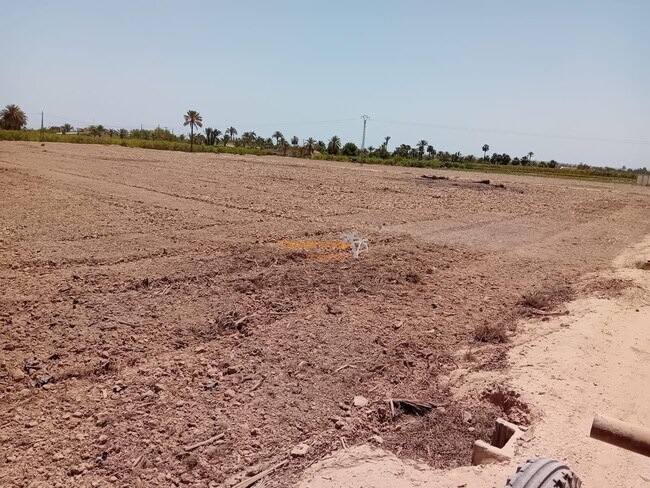 Más detalles de Daimes, Elche Pedanias, Daimes, Elche - Terreno en venta