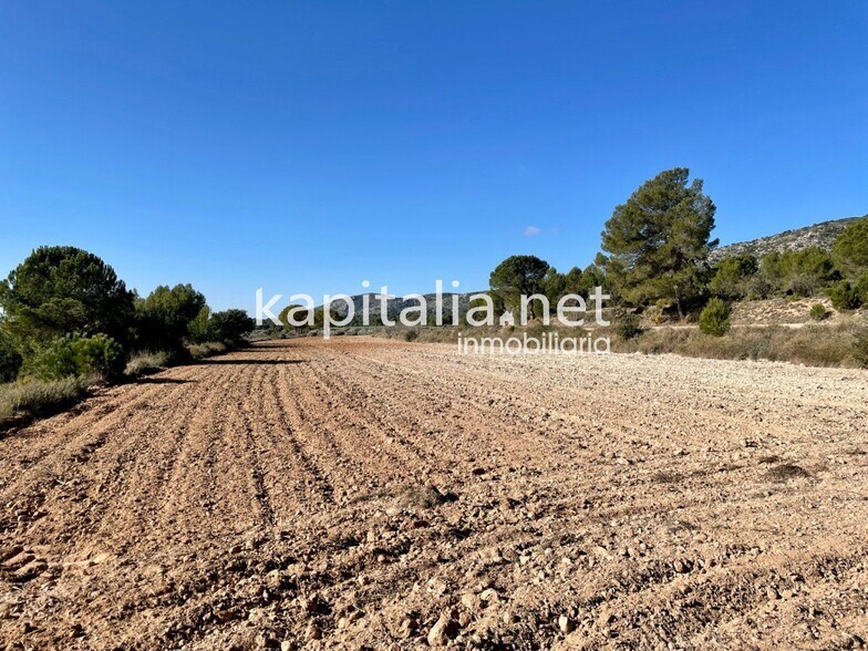 Terreno en Bocairent, Valencia en venta - Plano del sitio - Imagen 3 de 5