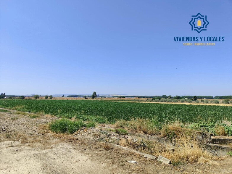 Carretera de Pinos Puente, Atarfe, Granada en venta - Foto del edificio - Imagen 2 de 9