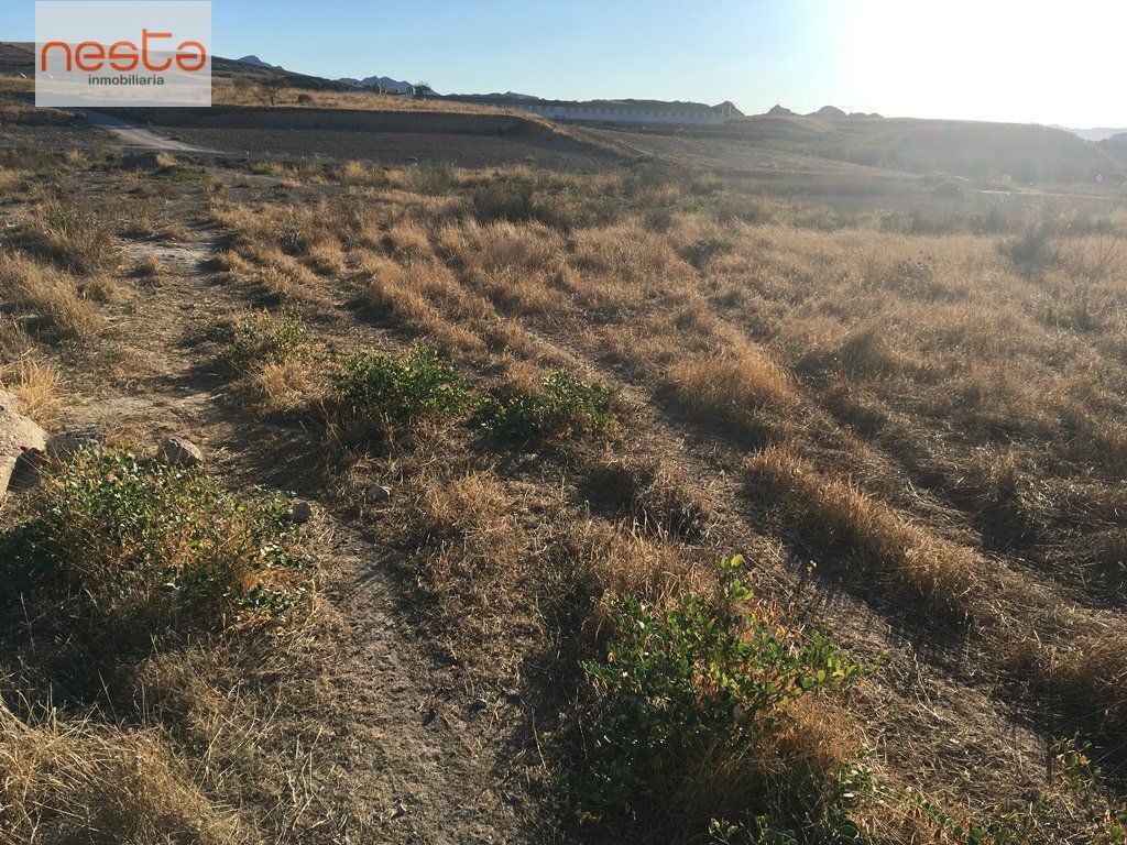 Terreno en Lorca, Murcia en venta Foto del edificio- Imagen 1 de 5