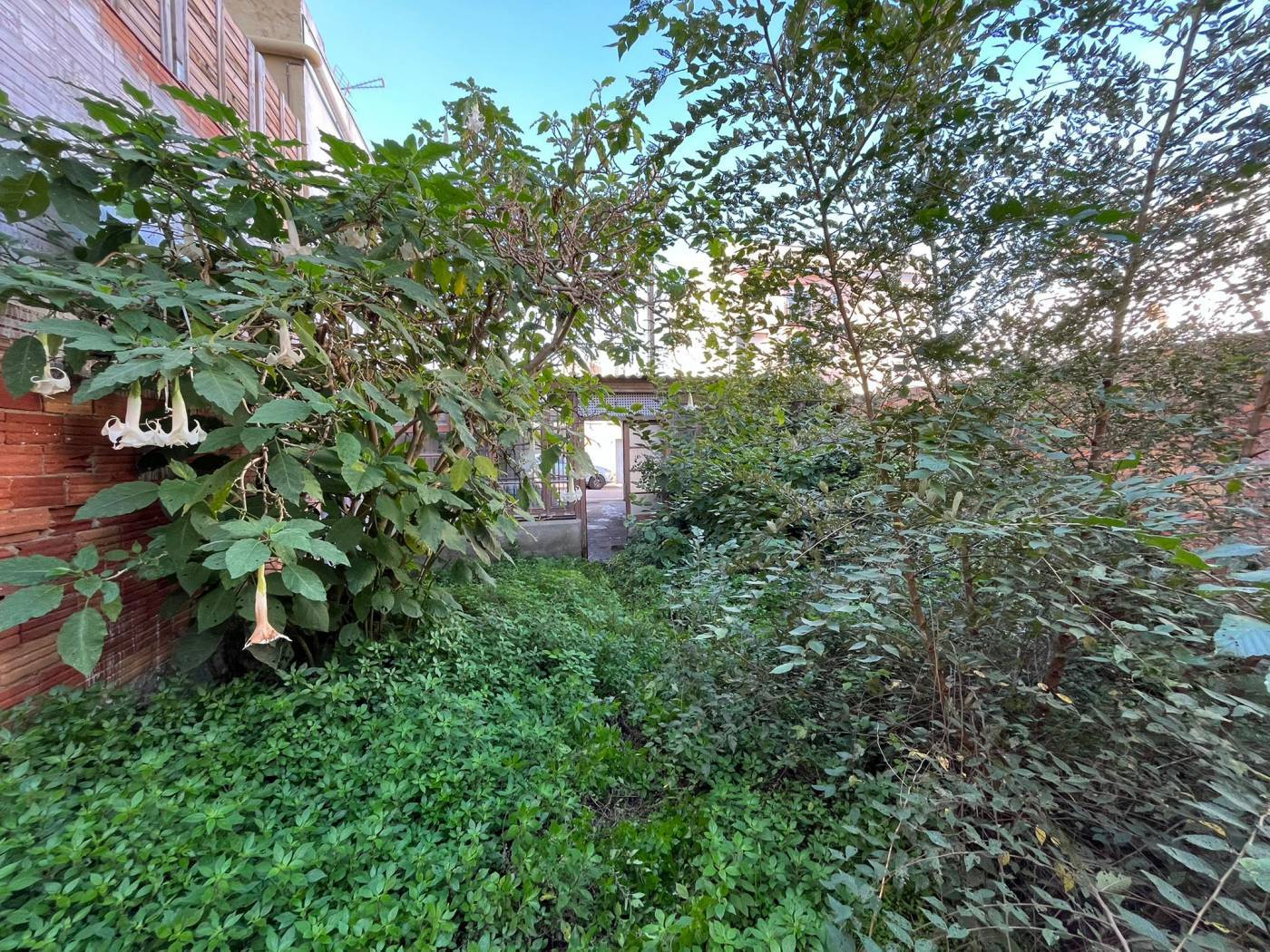 Terreno en Sant Pere de Ribes, Barcelona en venta Plano de la planta- Imagen 1 de 3