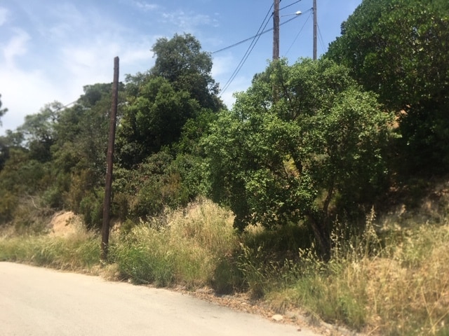 Terreno en Vidreres, Gerona en venta Foto principal- Imagen 1 de 4