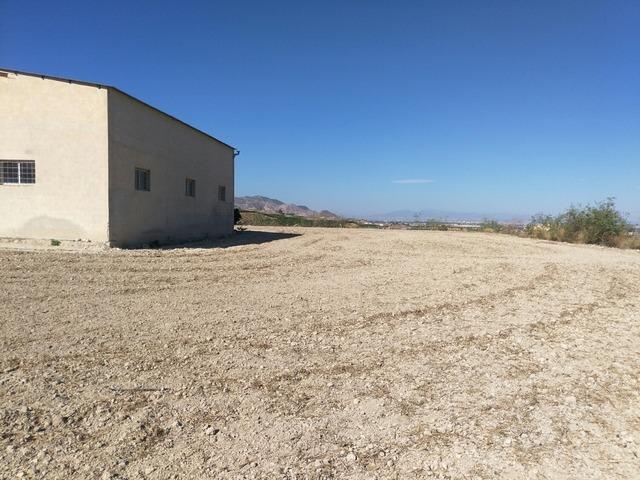 Nave en Orihuela en venta - Foto del edificio - Imagen 2 de 7