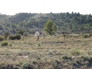 Más detalles de Terreno en venta