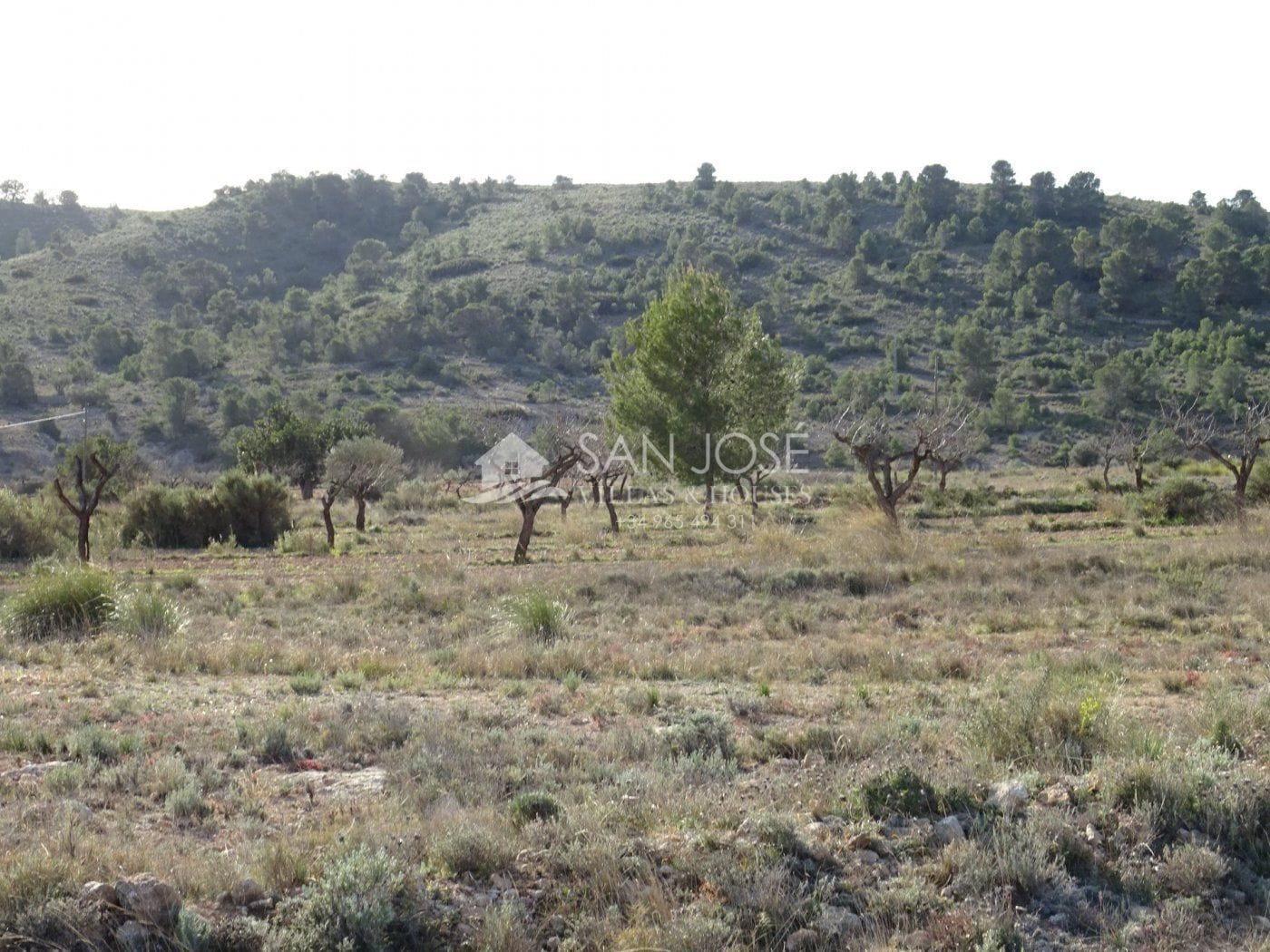 Terreno en HONDÓN DE LAS NIEVES, Alicante en venta Foto principal- Imagen 1 de 9