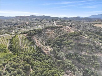 Más detalles para 45811 Camaron Rd, Temecula, CA - Terrenos en venta