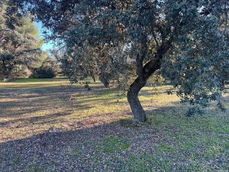 Calle de Alsasua, 6, Madrid, Madrid en venta - Otros - Imagen 2 de 3