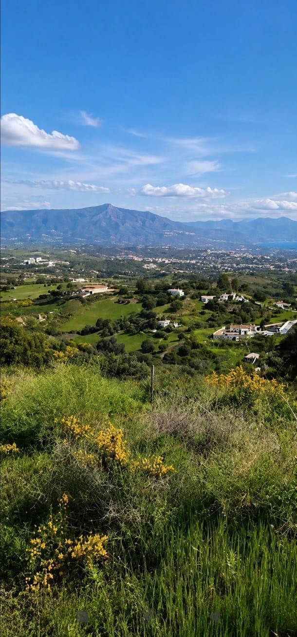 Más detalles de Terreno en venta