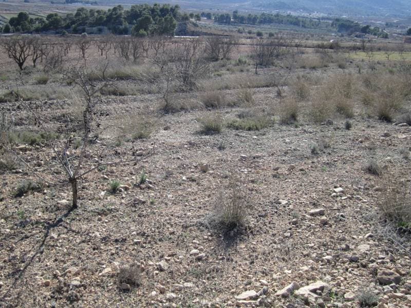 Terreno en MONÒVER, Alicante en venta Foto del edificio- Imagen 1 de 2