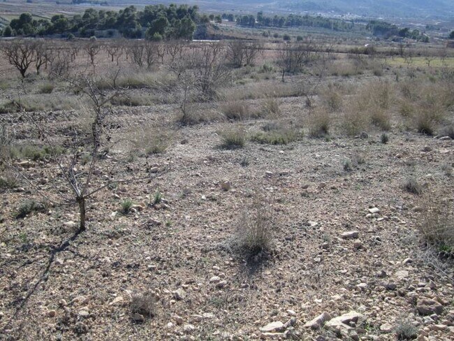 Más detalles de Terreno en venta