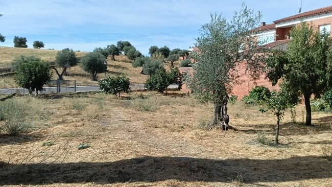 Más detalles de Camino de la Mina, 1, Calera y Chozas - Terreno en venta