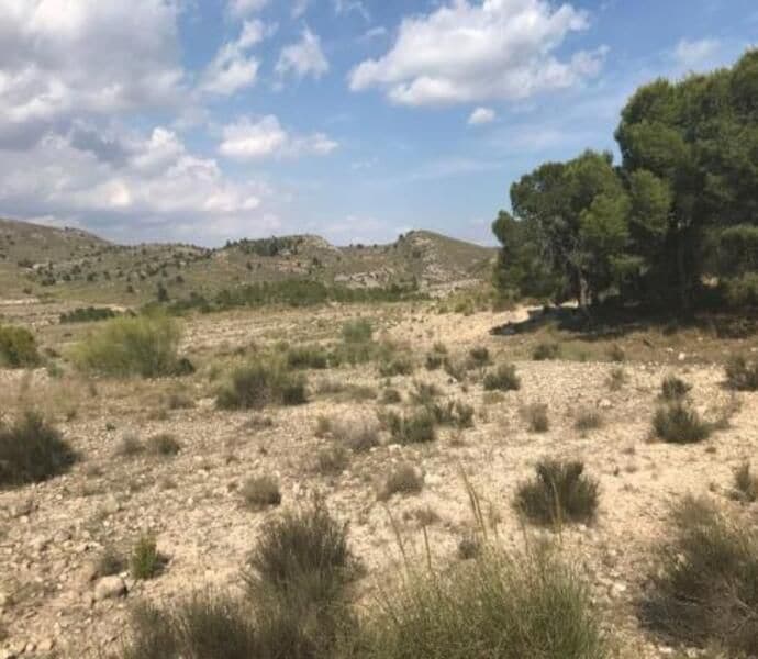 Terreno en Cieza en venta Vista aérea- Imagen 1 de 18