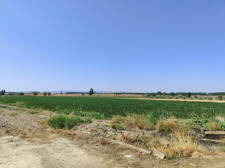 Carretera de Pinos Puente, Atarfe, Granada en venta - Vista aérea - Imagen 3 de 7