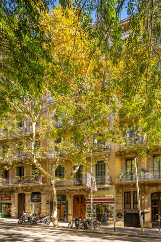 Más detalles de Carrer d'Aribau, 126, Barcelona - Local en alquiler