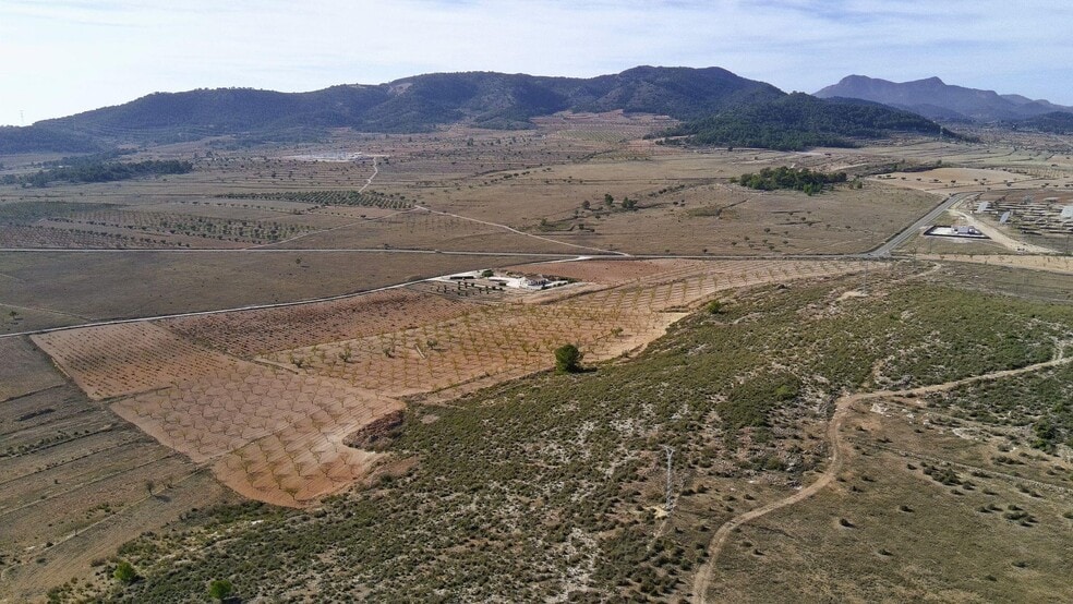 Terreno en Jumilla en venta - Foto del edificio - Imagen 3 de 17