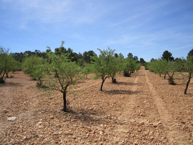 Terreno en MURCIA en venta - Foto del edificio - Imagen 2 de 6