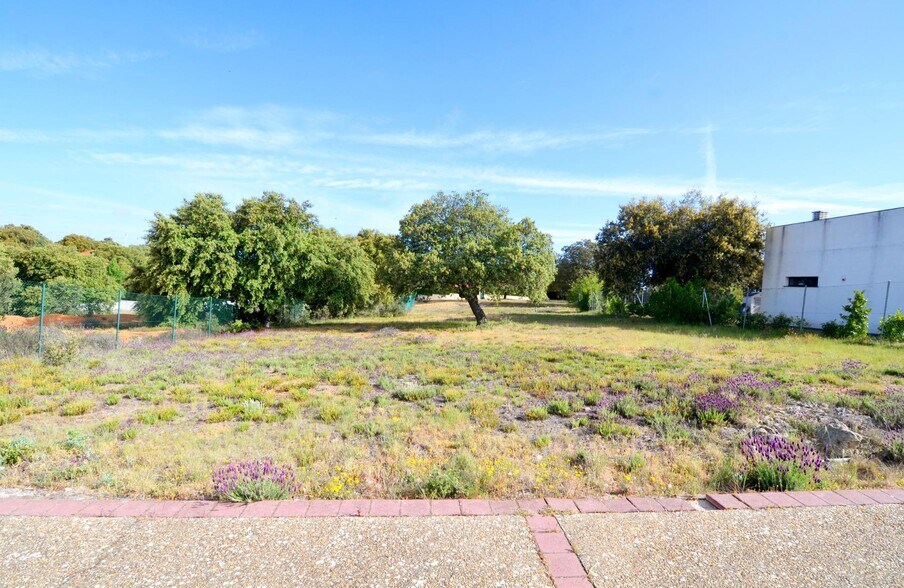 Terreno en Carrascal de Barregas en venta - Foto del edificio - Imagen 2 de 12