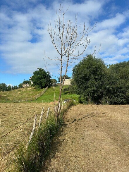 Sevares, 28, Piloña, Asturias en venta - Foto del edificio - Imagen 2 de 13