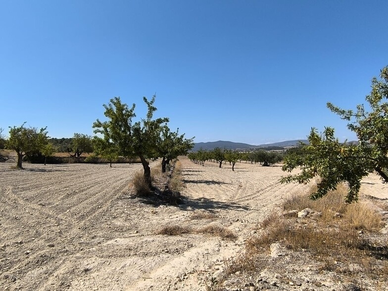 Terreno en MONÒVER, Alicante en venta - Foto principal - Imagen 2 de 12