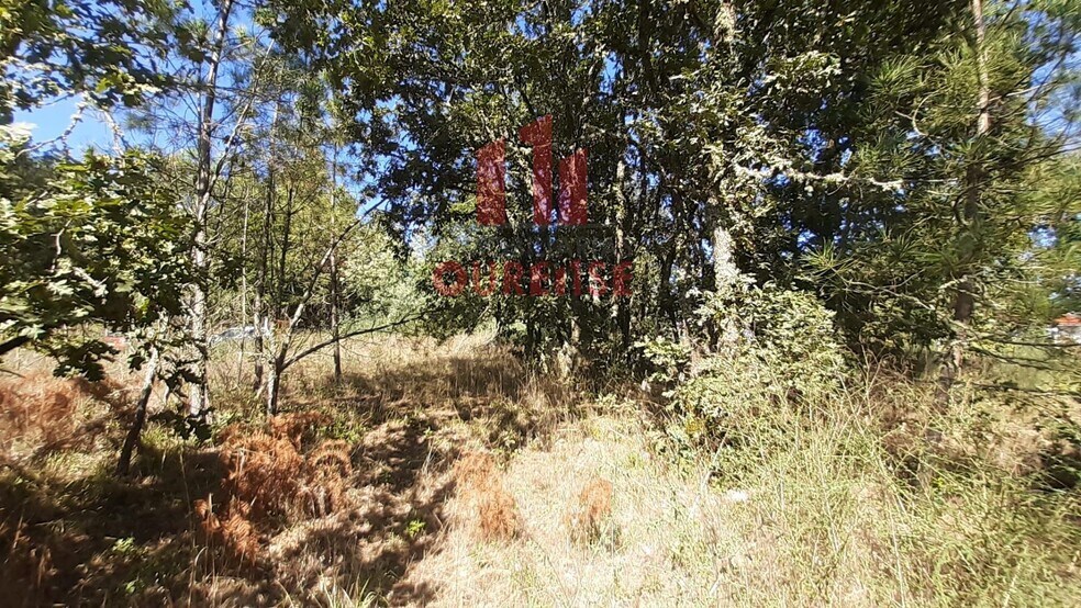 Terreno en Toén, Orense en venta - Foto principal - Imagen 3 de 6