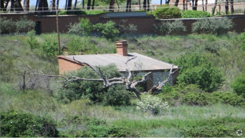 Polígono 6 Parcela 54, Haza Carmen, Guadalajara, Guadalajara en venta Foto principal- Imagen 1 de 1