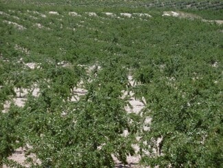 Más detalles de Terreno en venta