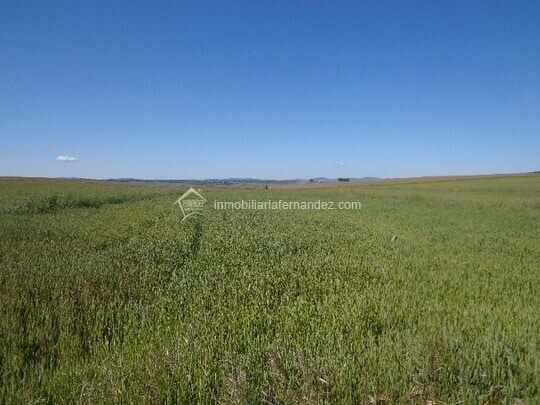 Terreno en Sierra de Fuentes, Cáceres en venta - Vista aérea - Imagen 1 de 3