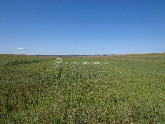Terreno en Sierra de Fuentes, Cáceres en venta Vista aérea- Imagen 1 de 4