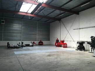 Más detalles de Flex en venta