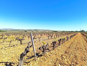 Yecla, MUR - Aérea  vista de mapa - Image1