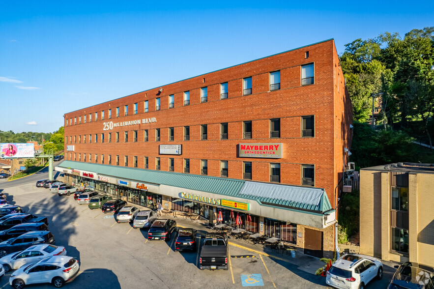 250 Mt Lebanon Blvd, Pittsburgh, PA en alquiler - Foto del edificio - Imagen 1 de 28