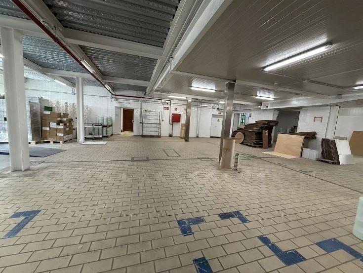 Nave en Palma, Islas Baleares en venta - Foto del interior - Imagen 2 de 15